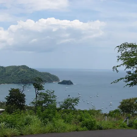Green Forest Of Coco Beach Studios